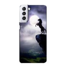 Чехлы с изображением разных животных для Samsung Galaxy S21 (Лошадь)