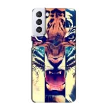 Чехлы с изображением разных животных для Samsung Galaxy S21 (Яркий Тигр)