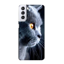 Чехлы с Котиками для Samsung Galaxy S21 (VPrint) (Серый Кот)