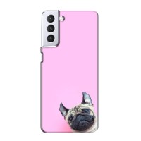 Бампер для Samsung Galaxy S21 с картинкой "Песики" (Собака на розовом)
