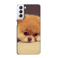 Чехол (ТПУ) Милые собачки для Samsung Galaxy S21 (Померанский шпиц)