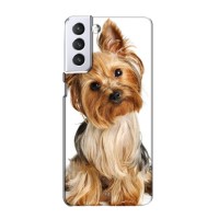 Чехол (ТПУ) Милые собачки для Samsung Galaxy S21 (Собака Терьер)