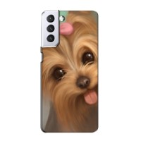 Чехол (ТПУ) Милые собачки для Samsung Galaxy S21 – Йоршенский терьер