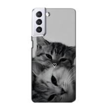 Чехол с рисунком кот на Samsung Galaxy S21 (Пара котов)