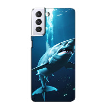 Чехол с картинкой «Хищники» для Samsung Galaxy S21 – Акула