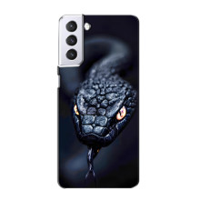 Чехол с картинкой «Хищники» для Samsung Galaxy S21 – Змея