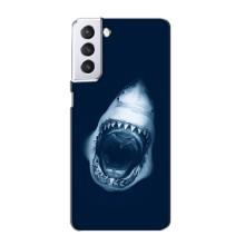 Силиконовый бампер с картинкой животных для Samsung Galaxy S21 (Пасть Акулы)