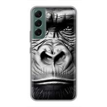 Чохли з Горилою на Самсунг Галаксі С22 Плюс – Чорна мавпа