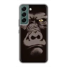 Чохли з Горилою на Самсунг Галаксі С22 Плюс – Горила