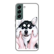 Бампер для Samsung Galaxy S22 Plus з картинкою "Песики" (Собака Хаскі)