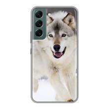 Чехол с Волком на Samsung Galaxy S22 Plus – Волк на снегу