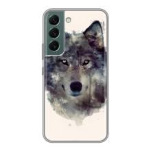 Чехол с Волком на Samsung Galaxy S22 Plus – Волк