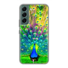 Чехол с птицами на Samsung Galaxy S22 (VPrint) (Яркий Павлин)