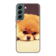 Чохол (ТПУ) Милі песики для Samsung Galaxy S22 (Померанский шпіц)