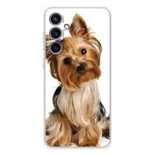 Чехол (ТПУ) Милые собачки для Samsung Galaxy S24 FE (Собака Терьер)