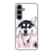 Бампер для Samsung Galaxy S24 Plus з картинкою "Песики" (Собака Хаскі)