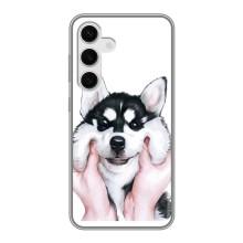 Бампер для Samsung Galaxy S24 с картинкой "Песики" (Собака Хаски)