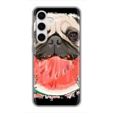 Чехол (ТПУ) Милые собачки для Samsung Galaxy S24 – Смешной Мопс