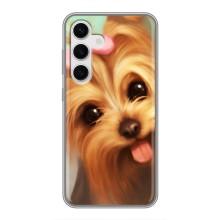 Чехол (ТПУ) Милые собачки для Samsung Galaxy S24 – Йоршенский терьер
