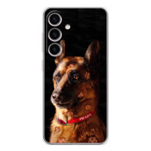 Чехлы с картинками животных Samsung Galaxy S25 FE (Овчарка)