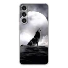 Чехол с Волком на Samsung Galaxy S25 Plus – Волк и луна