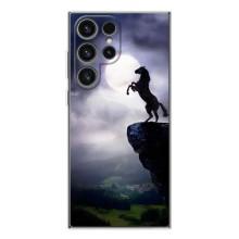 Чехлы с изображением разных животных для Samsung Galaxy S25 Ultra (Лошадь)