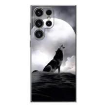 Чехол с Волком на Samsung Galaxy S25 Ultra