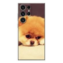 Чехол (ТПУ) Милые собачки для Samsung Galaxy S25 Ultra (Померанский шпиц)