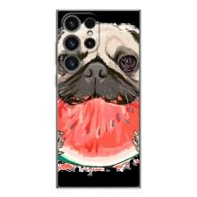 Чехол (ТПУ) Милые собачки для Samsung Galaxy S25 Ultra (Смешной Мопс)