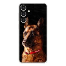 Чехлы с картинками животных Samsung Galaxy S26 Plus (Овчарка)