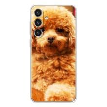 Чехлы с собаками для Samsung Galaxy S26 Plus (VPrint) (Щенок Бишон)