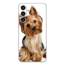 Чохол (ТПУ) Милі песики для Samsung Galaxy S26 Plus (Пес Терьєр)