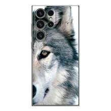 Чехлы с картинками животных Samsung Galaxy S26 Ultra (Волк)
