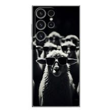 Чохол з принтом стильні тварини для Гелексі С26 Ультра – Овечка в окулярах