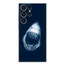 Силиконовый бампер с картинкой животных для Samsung Galaxy S26 Ultra (Пасть Акулы)