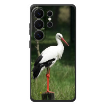 Силиконовый чехол с птичкой на Samsung Galaxy S26 Ultra