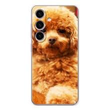 Чохли з собаками для Samsung Galaxy S26 (VPrint) (Цуценя Бішон)