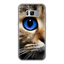 Чехлы с Котиками для Samsung Galaxy S8 Plus, G955 (VPrint) (Глаз кота)