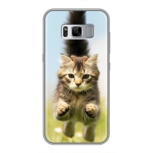 Чехлы с Котиками для Samsung Galaxy S8 Plus, G955 (VPrint) (Прыжок кота)