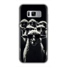 Чехол с принтом стильные животные для Самсунг Галакси С8 Плюс G955 – Овечка в очках