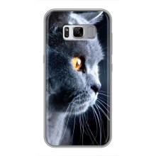 Чехлы с Котиками для Samsung Galaxy S8, G950 (VPrint) (Серый Кот)