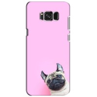Бампер для Samsung Galaxy S8, G950 с картинкой "Песики" (Собака на розовом)