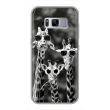 Силіконовий чохол з КАРТИНКАМИ літо для Samsung Galaxy S8, G950 (AlphaPrint) (Жирафи в окулярах)