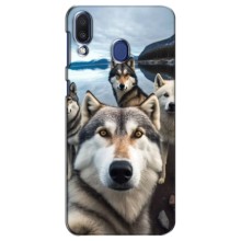 Чехол с Хаски для Samsung Galaxy M20 (M205) - (AlphaPrint) (Селфи ХАски)