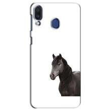 Чехлы с Лошадью дляSamsung Galaxy M20 (M205) (VPrint) (Чорний кінь)