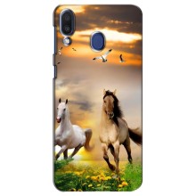 Чехлы с Лошадью дляSamsung Galaxy M20 (M205) (VPrint) (Лошадки)