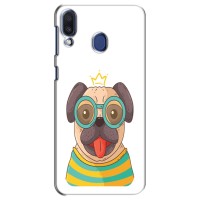 Бампер для Samsung Galaxy M20 (M205) с картинкой "Песики" (Собака Король)