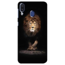 Чохол з картинкою ЛЕВ для Samsung Galaxy M20 (M205) (VPrint) (Лев)