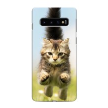 Чехлы с Котиками для Samsung Galaxy S10e (VPrint) (Прыжок кота)