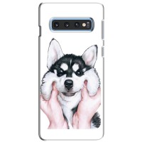 Бампер для Samsung Galaxy S10e с картинкой "Песики" – Собака Хаски